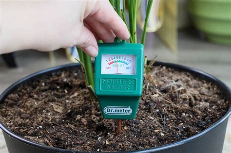 custom house plant moisture meter false high reading|moisture meter readings false.